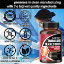 Estratto di Tribulus Terrestris 800 mg 10:1 Aumenta l'energia e la vitalità