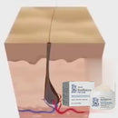 Scrub per capelli Eelhoe Root Restore, idrata, nutre, ripara, radici, estratto di piante biologiche, scrub per il cuoio capelluto, anti-caduta, detergente profondo, olio e sporco, scrub per la cura dei capelli danneggiati