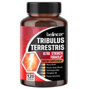 Tribulus Terrestris Extract 800mg 10:1 Increases Energy and Vitality